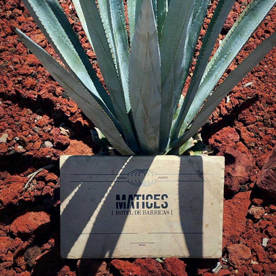Matices Hotel De Barricas Tequila Exterior photo