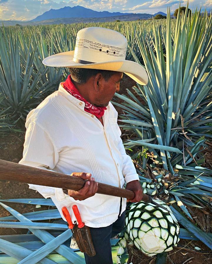 Matices Hotel De Barricas Tequila Exterior photo