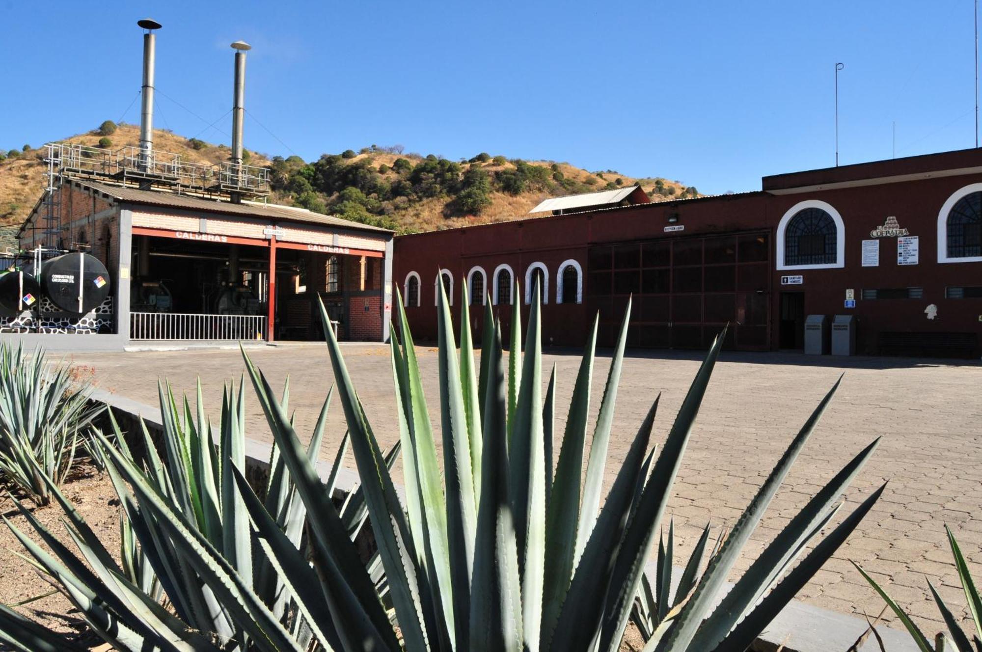 Matices Hotel De Barricas Tequila Exterior photo